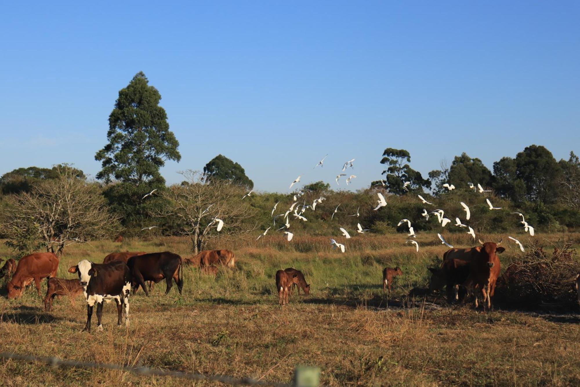 Mabuda Guest Farm Siteki Exterior photo